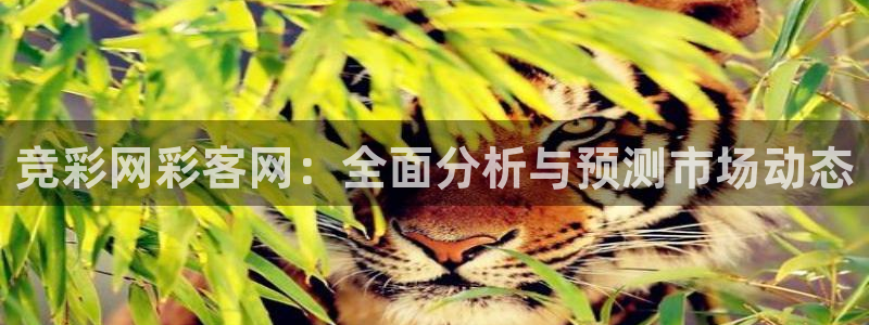 聚富welcomef平台注册：竞彩网彩客网：全面分析与预测市场动态