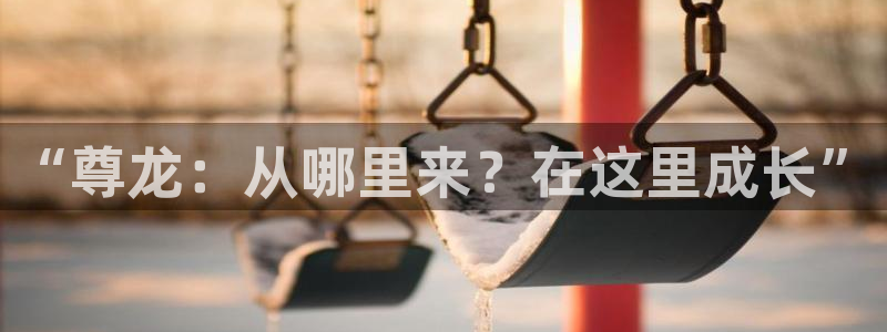 聚富welcome体育1招商：“尊龙：从哪里来？在这里成长”