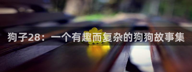 聚富welcome体育合法嘛：狗子28：一个有趣而复杂的狗狗故事集