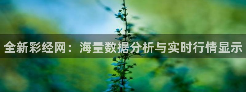 聚富welcome体育注册平台：全新彩经网：海量数据分析与实时行情显示